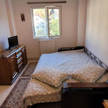 Patricia Apartment Sinaia Esterno foto
